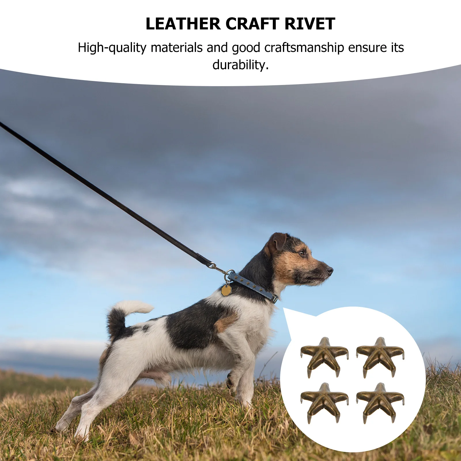 

100pcs Claw Rivet Accessories Five-Pointed Rivets For Diy Decorative Nailheads Craft Design Tools