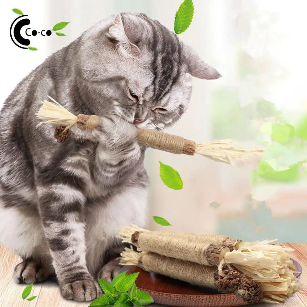 Cat Toy Lafite Grass Cat Toy Clear Bad Breath Versatile Remove Plaque Cat Snacks Sticks Polygonum Stick Plant Crude Fiber Catnip