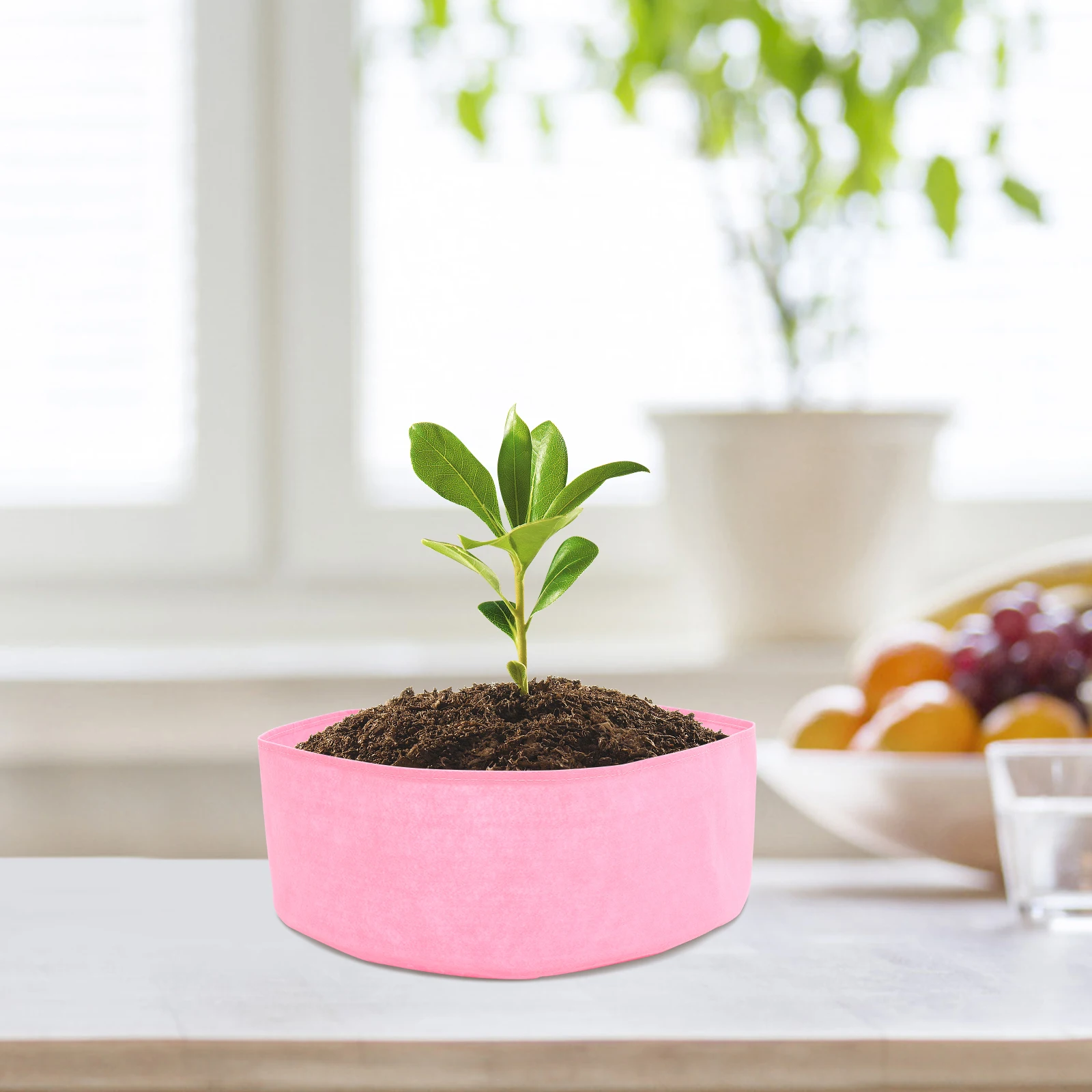 

Plant Growing Bag Thickened Pouch Garden Container Felt Planter Round Breathable Pot Vegetable Planting Nursery Breeding