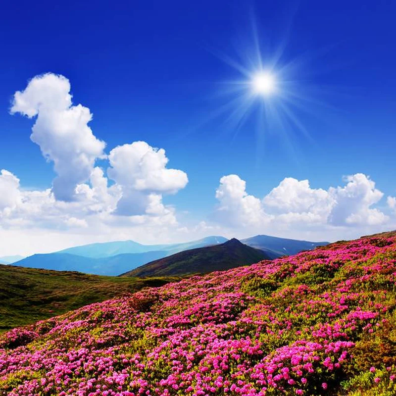 

Outdoor Full Car Cover For BMW 7 Series with Reflective Strips Waterproof Snowproof Dustproof UV Protection Auto Accessory