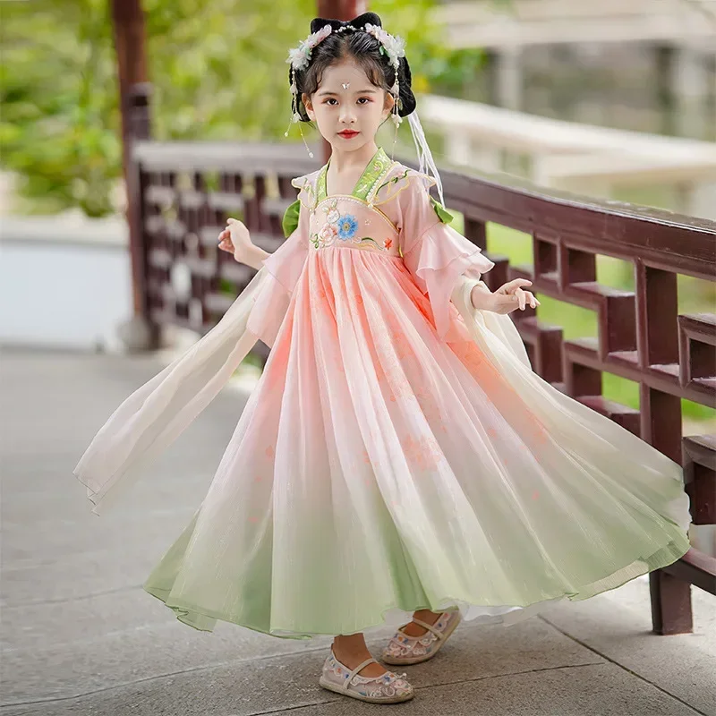 Traditional Girls Fairy Costume Pink Floral Embroidery Hanfu Children Chinese Style Tang Photography Cosplay Dress