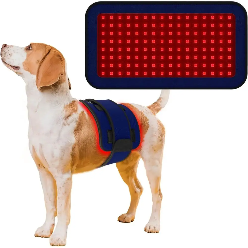 Portable Wearable Infrared Light Therapy Belt for Pet Pain Relief and Tissue Repair