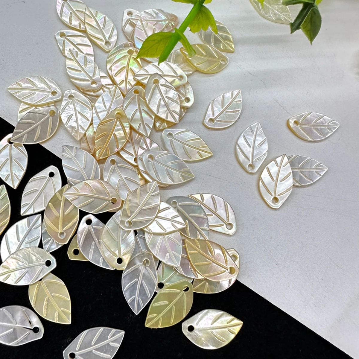 8Pcs The Mother Of Pearl Shell Small Pendant Leaf  Loose Pendant 13x8mm For Jewelry Making DIY Necklace Earring Accessory