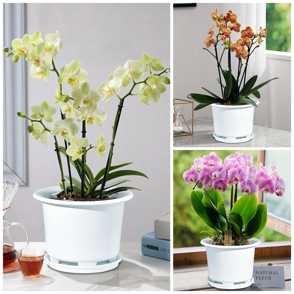 Meshpot Orchid Flower Pots With Holes Double Layers Garden Planters Home Plants Orchid Pots Home Decoration Supplies