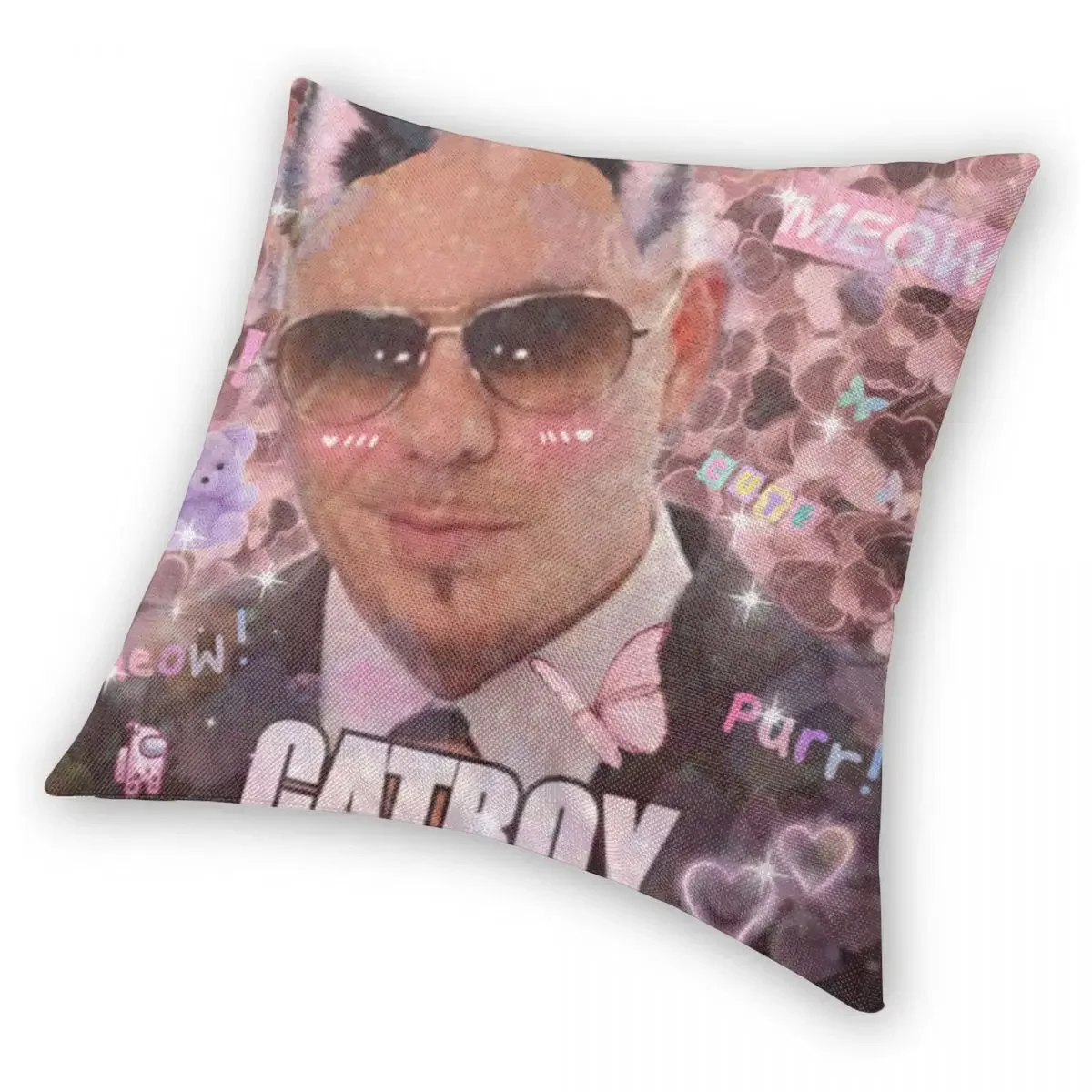 Mr. Worldwide Catboy Pillowcase Printing Polyester Cushion Cover Decoration Pitbull Pillow Case Cover Seater Zipper 45X45cm