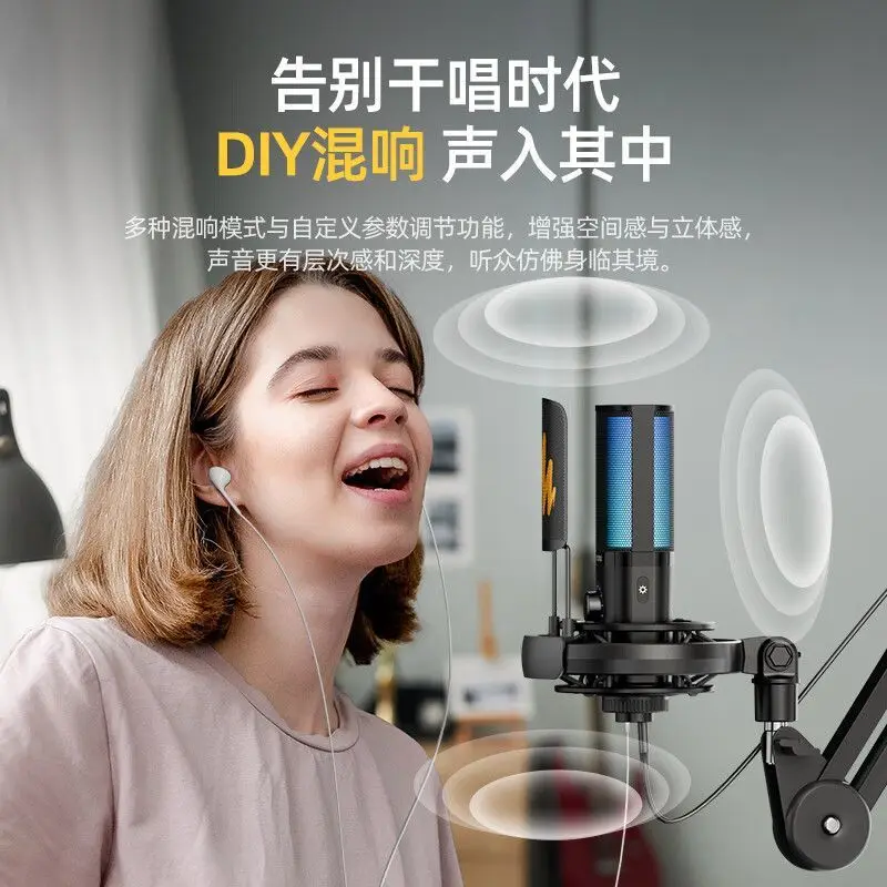 Computer microphone Desktop live game live streaming host Singing noise reduction dedicated recording microphone