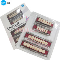 28 Teeth Set SHOFU Livera Resin Denture Teeth Dental SHOFU Full Mouth Synthetic Resin Teeth 1 Box