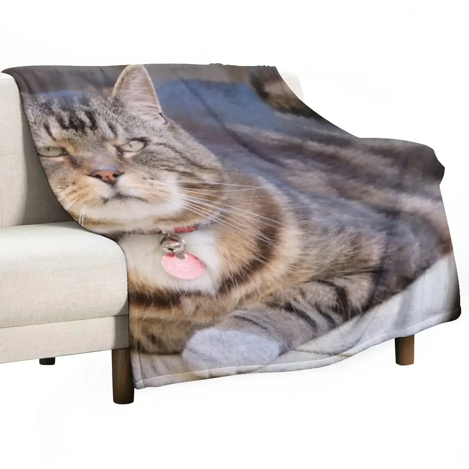 

Grumpy Tabby Throw Blanket Moving Blankets For Sofas Decorative Beds Soft Beds Blankets