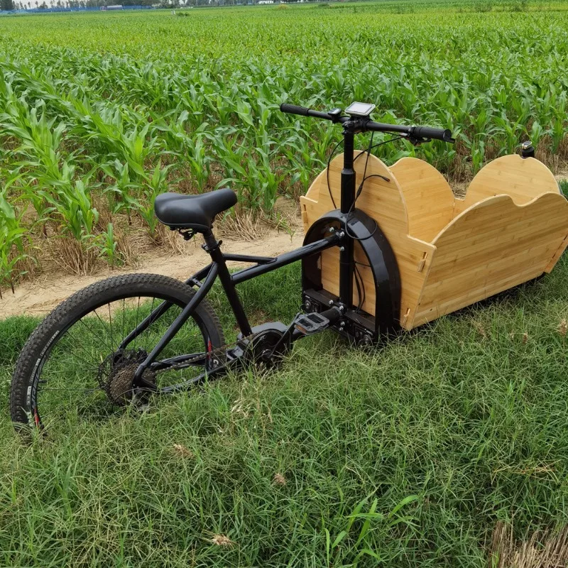 

Tricycle urban front truck parent-child car front cargo box tricycle
