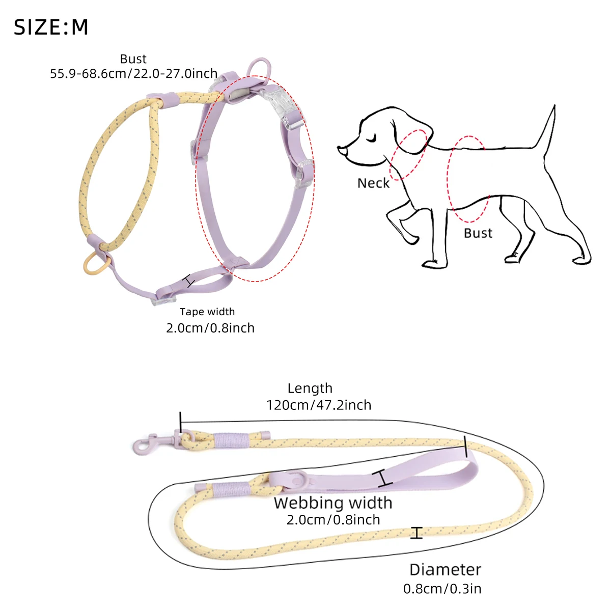 Geschirr für kleine und mittelgroße Hunde für den Sommer, zum Gassi gehen, Laufen, Outdoor, modisches Geschirr, kein Ziehen, reflektierende Sicherheitsleine aus Nylon – Detail 4