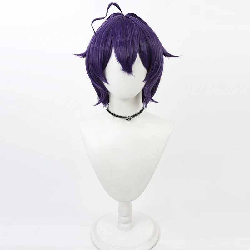 Hiiragi Utena Peluca de Cosplay para niñas mágicas, pelo sintético resistente al calor, color morado, fiesta de juegos de rol de Halloween, gorro de peluca