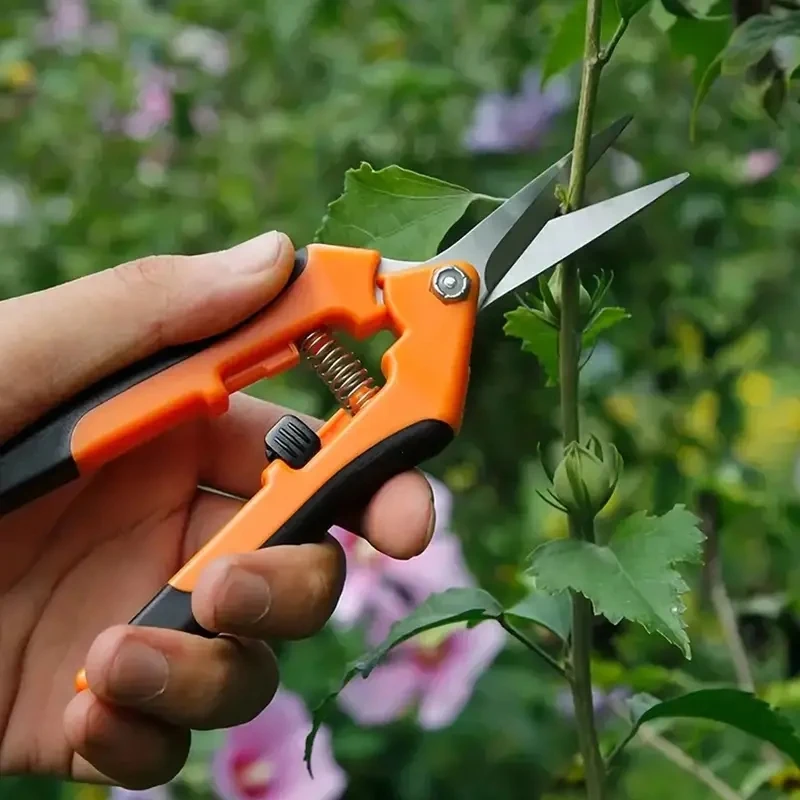 مقصات تشذيب الحدائق ، مقصات الحدائق ، مانعة للإنزلاق لتوفير العمالة ، فرع زهور ، مقصات الفروع ، مقصات الفواكه والخضروات ، مجموعة واحدة #1