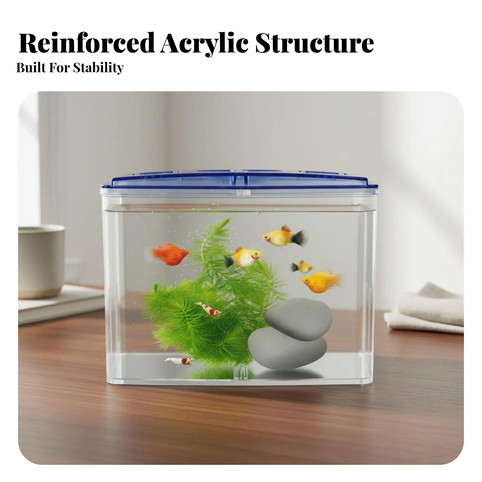 Image 3: Boîte d'élevage en acrylique pour créatures aquatiques, protection des alevins, habitat aquatique, conteneur d'élevage avec couvercle ventilé