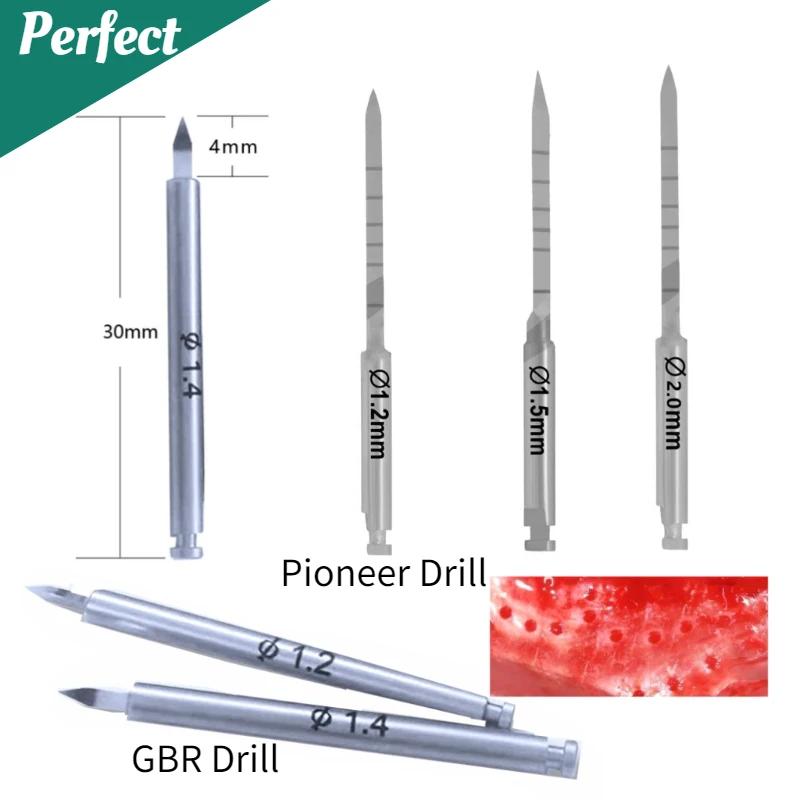 Dental Pioneer Nutrient Drill Bone Implant Increment Nutrient Hole Drill Dental GBR Pilot Drill Promote New Bone Formation