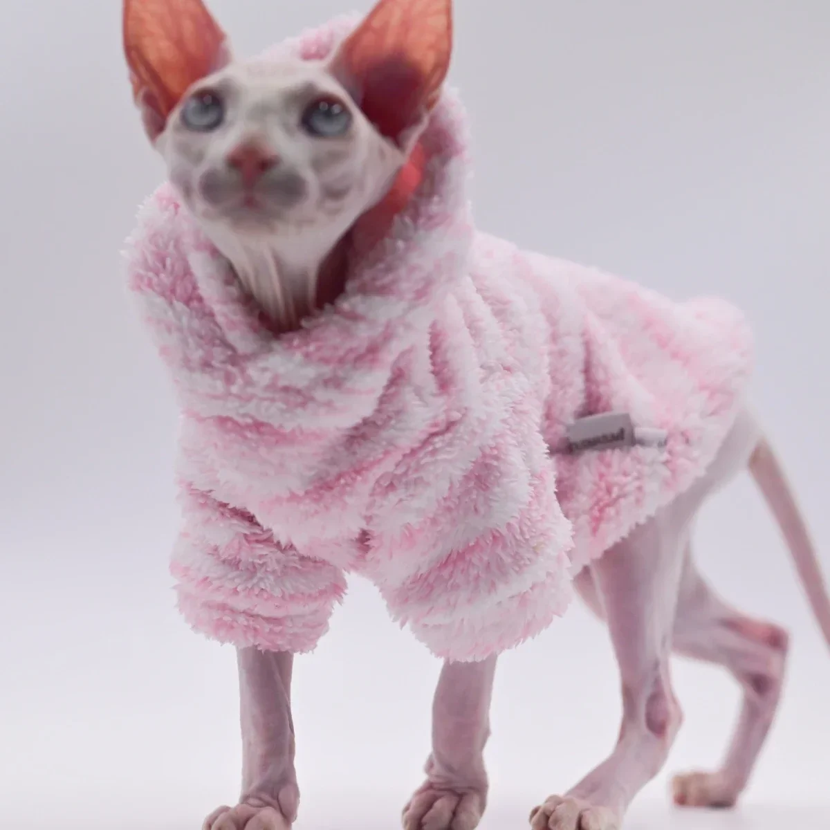 DUOMASUMI-Veste Douce à Double Face pour Chat, Manteau Chaud, Épais, Sphinx, Sphynx, Vêtements d'Hiver, Tenues Sans Poils