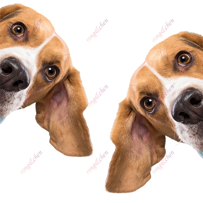 

Animal Car Sticker Beagle Dog Pet for Car Motorcycle Racing Helmet Laptop Trunk Body Car Window Surfboard Waterproof PVC Decals