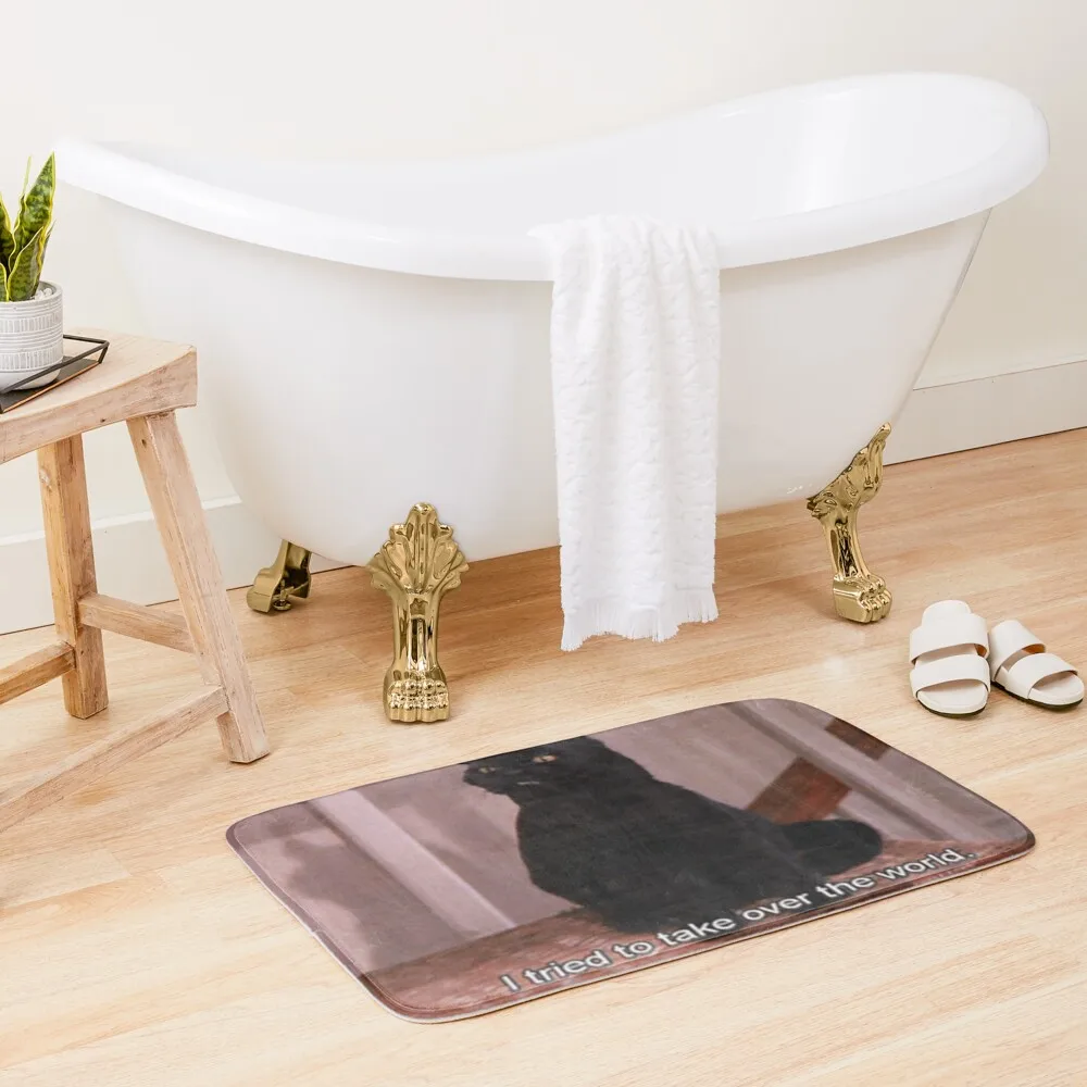 

Salem Rules the World Bath Mat Waterproof Bathroom Rugs Carpets For Bathrooms Mat