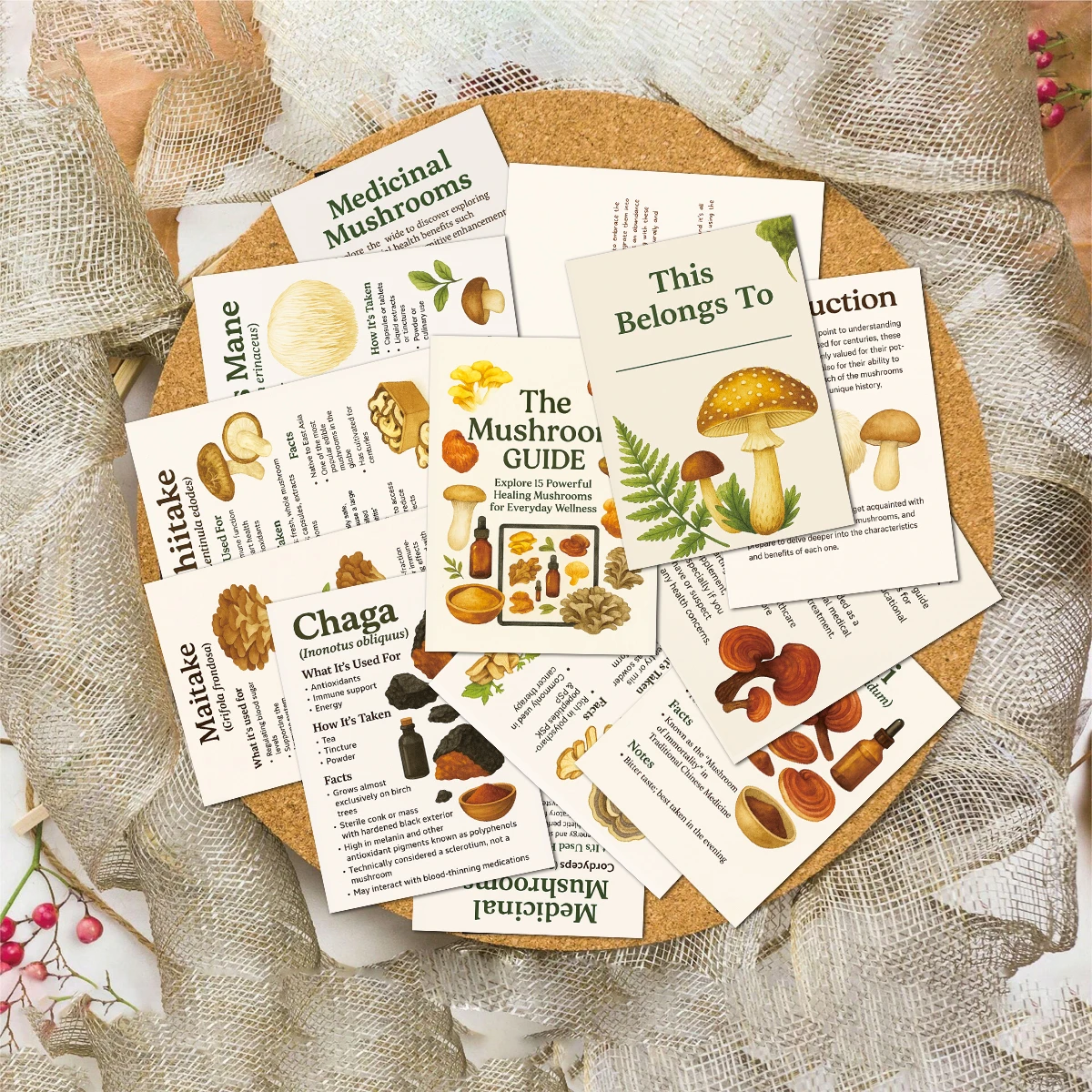 13pcs Mushroom function Guide cards,Reference Cards for Health Enthusiasts,Usage Methods Educational Tool for Exploring Mushroom