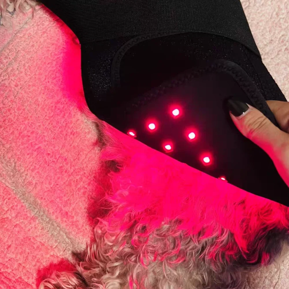 

Portable Pet Arthritis Care Device, 660nm Red Light Therapy for Dogs & Cats to Soothe Joint Pain and Support Mobility at Home