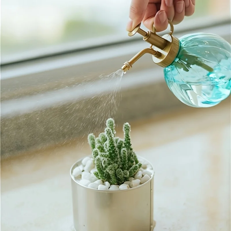 Household Plastic Spray Bottle - Gardening Tools B&M review and price