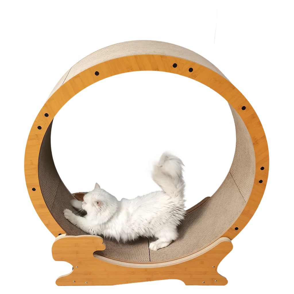 Беговое колесо для кошек, сменная доска для кошек, колесо для упражнений, беговая дорожка для домашних животных, тренировочная машина для ходьбы для кошек, сливное хранение