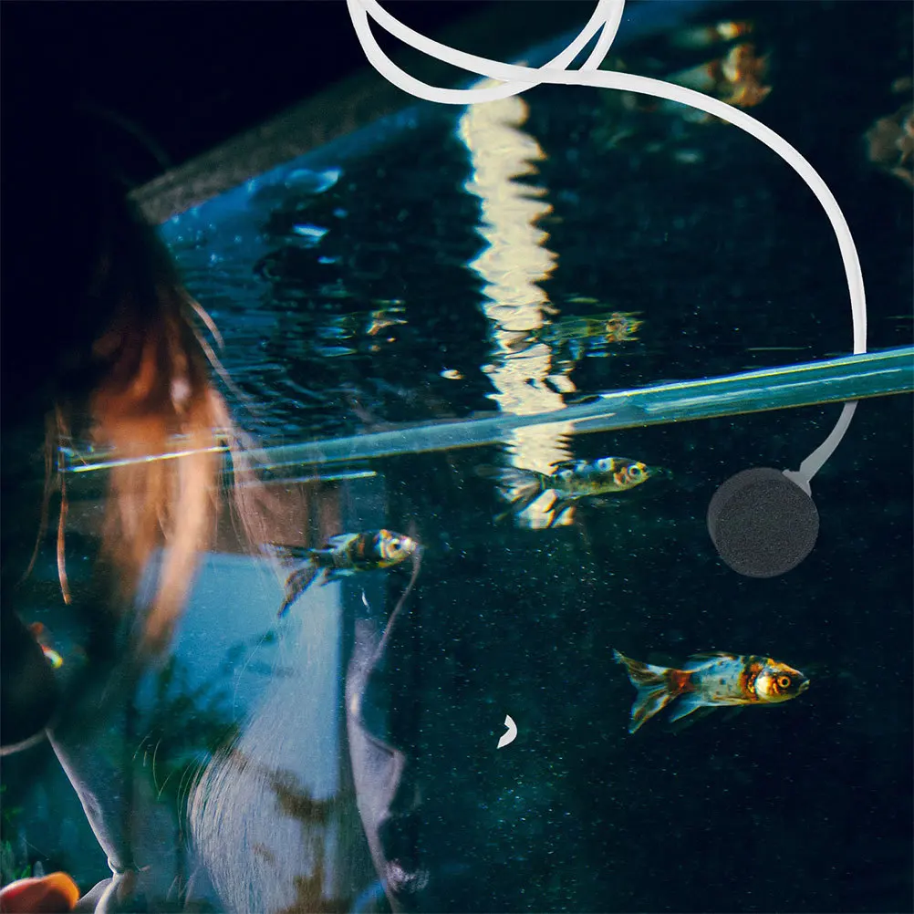 

Mini Air Usb-Powered Portable Aquarium Oxygenation Quiet Small Fish Tank Bubbler For Aquariums Aquatic Plants Air Pump Aquarium