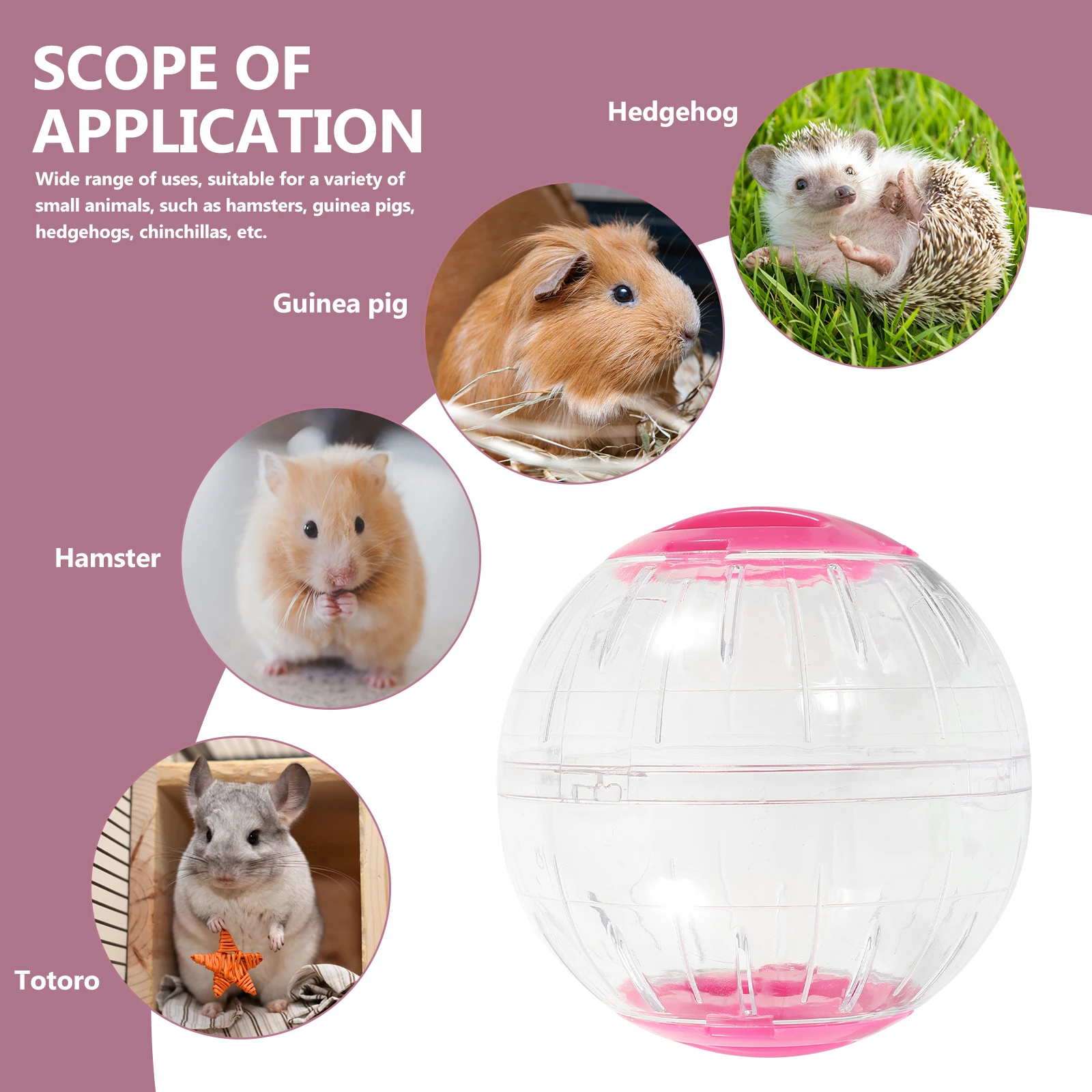 

Hamster Exercise Ball Tiny Running Toy Sports Wheel Small Size Lightweight Portable Pet Toys for Hamsters Gerbils Mice