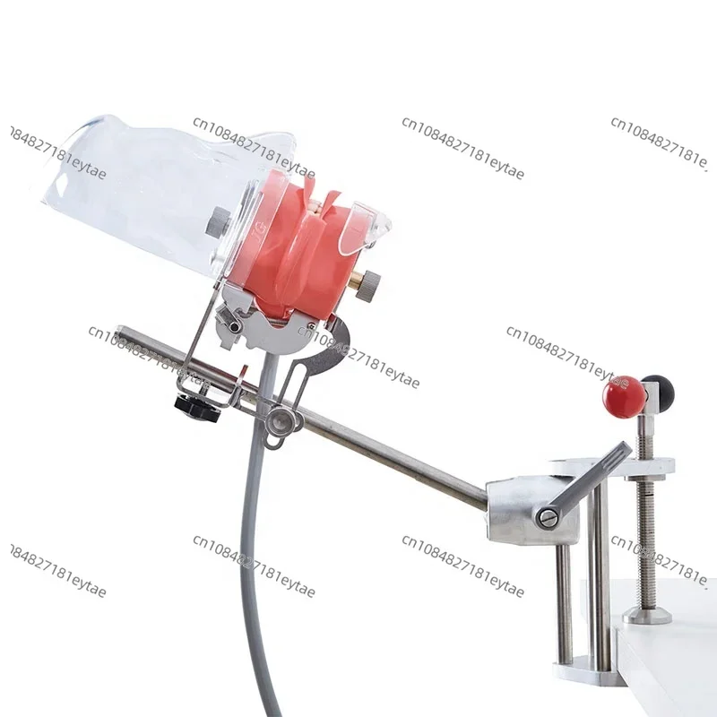 Suitable for Nissin Manikin phantom head model with transparent plastic head, suitable for various dental training