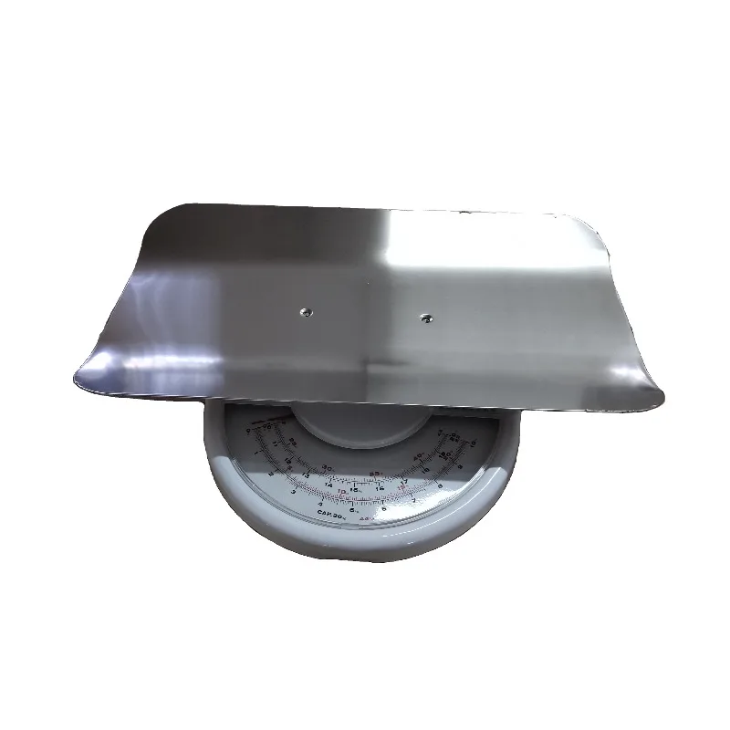 2025 ZT-130 Mechanical Baby Scale Unique Design 10kg High Precision Baby Scale with Tray Plastic OEM can be customized