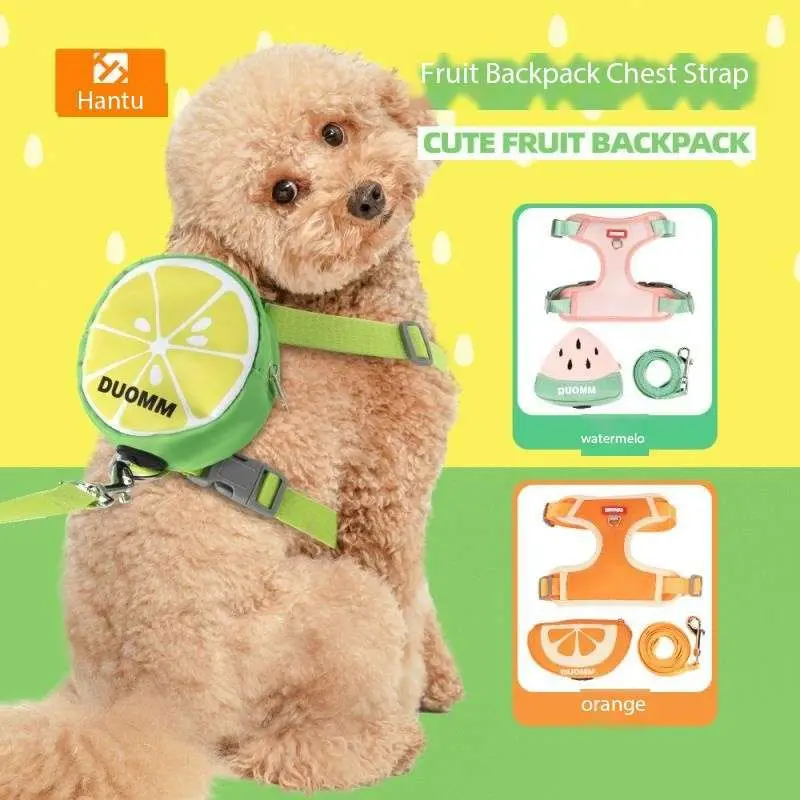 

Dog portable bag carry outdoor walking backpack Travel mesh