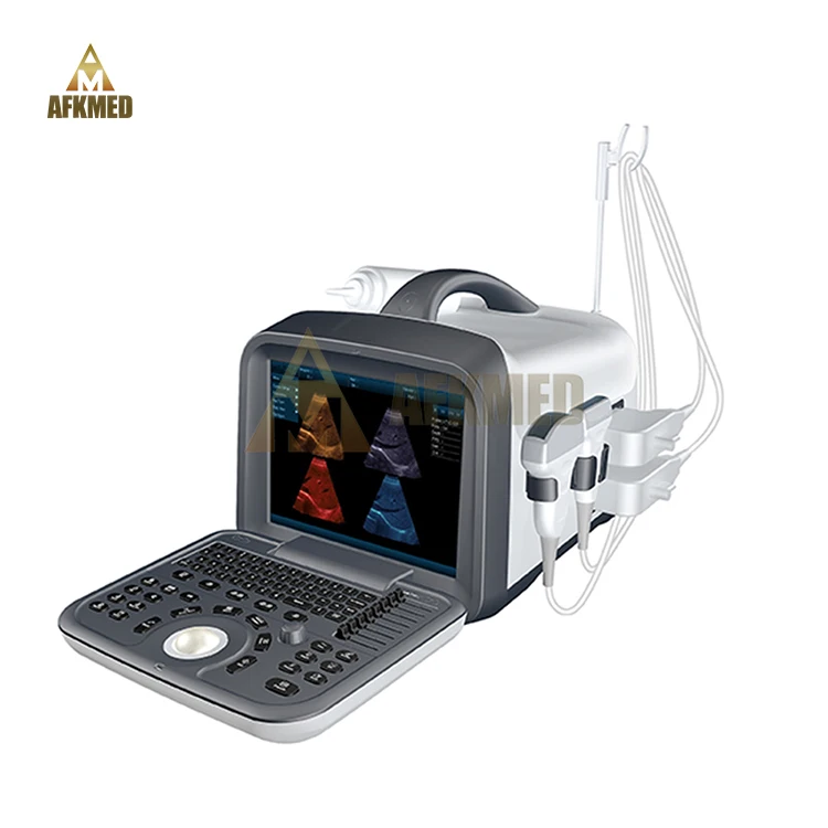 Hot sale 3d veterinary ultrasound dogs cats portable ultrasound medical scan machine