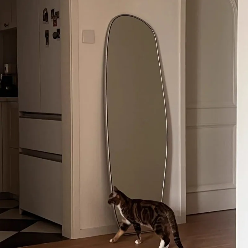 Modern Standing Mirror Living Room Moving Full Body Girls Men Bedroom Floor Bathroom Mirror Luxury Espelhos Home Decorations