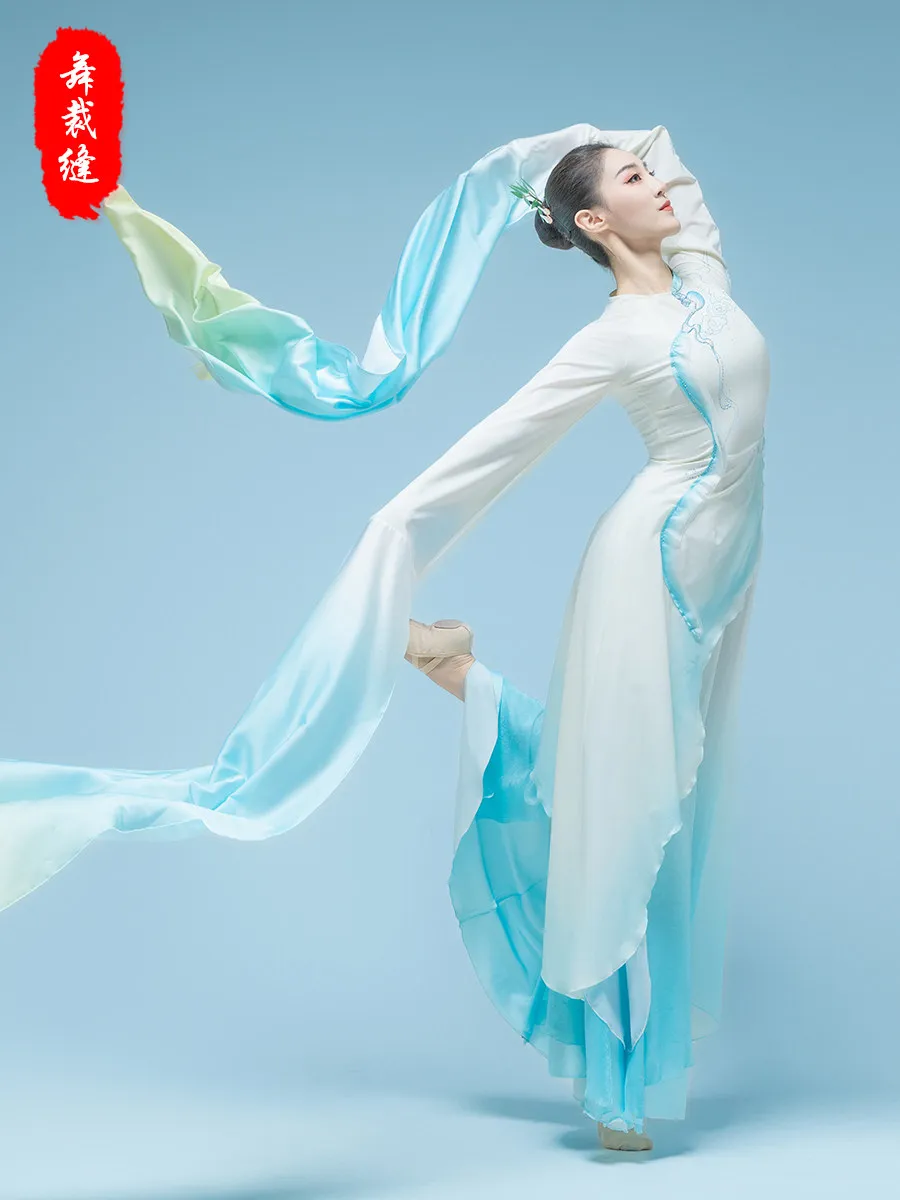 Chinese Classical Water Sleeve Dance Costume Flowy Fairy Outfit Women Stage Performance Set New Style Stage Show Dress