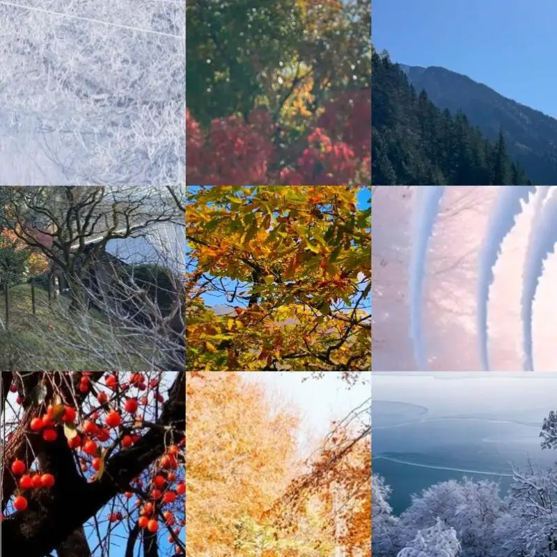 

PC Watch Case with Tempered Glass Screen Protector Dustproof Watch Screen Protector for Huawei Watch Fit3