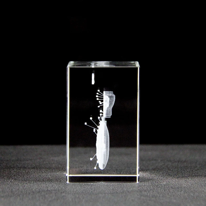 3D Laser Engraving Human Lung Organ Cube Medical Structure of the Respiratory System Graduation Gifts