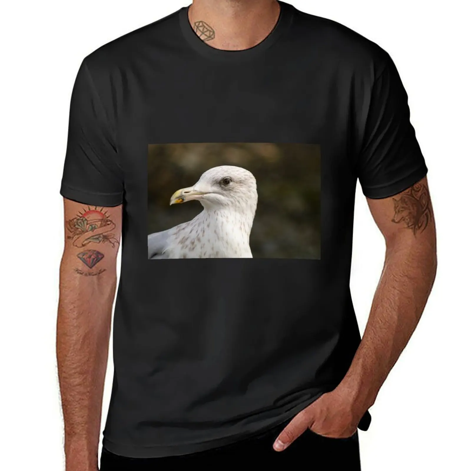 

2nd winter Herring Gull T-Shirt for a boy quick-drying customs mens t shirts pack