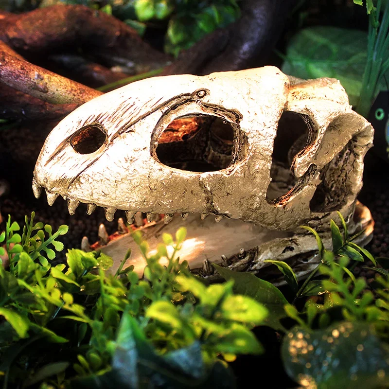 Dinosaur Bones Dodge House Resin Reptile Habitat Water Grass Landscaping Simulation Skull Fish Tank Aquarium Decoration
