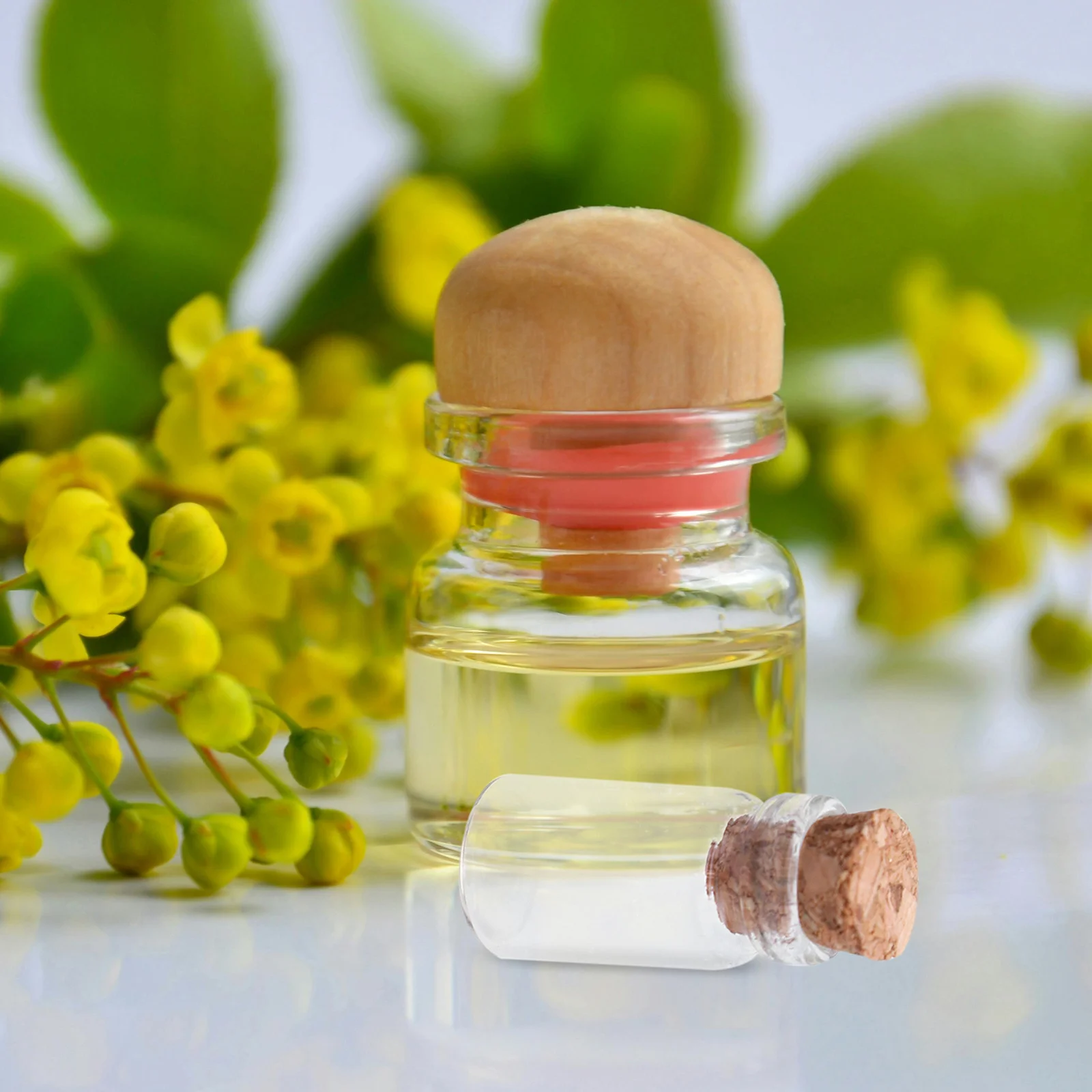 

50Pcs Mini Glass Bottles with Wooden Cork Stoppers Clear DIY Gift Message Bottles Pendants Mini Wish Bottle Glass Wish Bottle