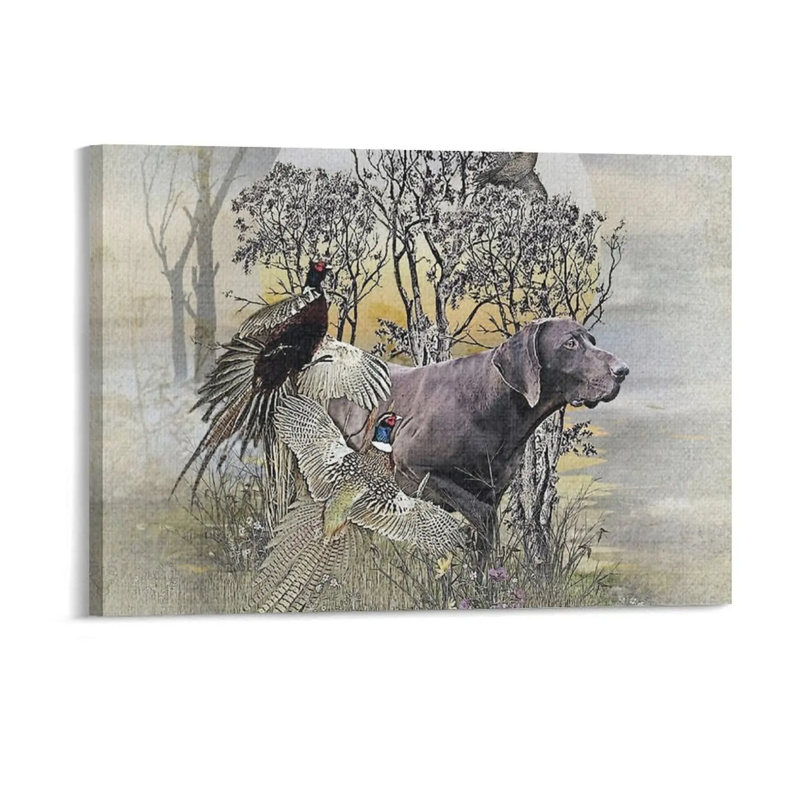 The German Shorthai…