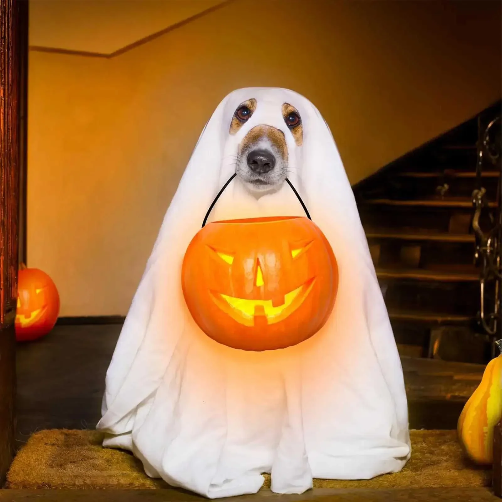 

White Dog Halloween Costume Halloween Ghost Pet Cloak Spooky Soft Pet Clothes Breathable Dog Costume for Outdoor Walks Photo