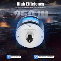DC Brush Motor 250W 24V Electric Permanent Magnet Motor Electric Motor for Mini Bike Quad DIY Scooter E Bike