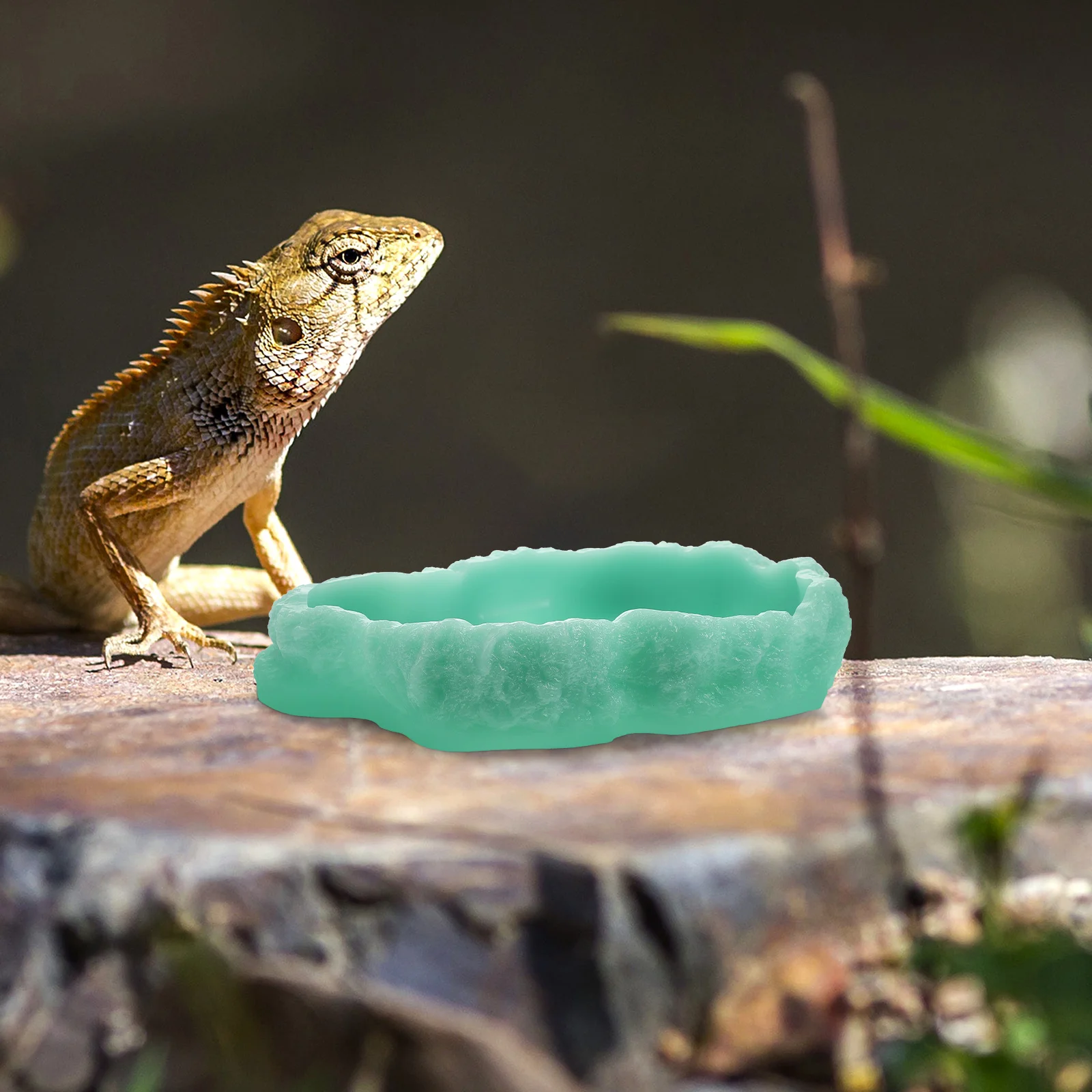 

Reptile Luminous Feeder Bright Color Simple Design Unique Design Not Overthrown by Pets Luminous Reptile Dish Accessory