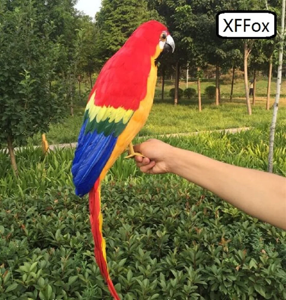 big real life red&orange parrot model foam&feather simulation large parrot bird gift about 65cm xf0233