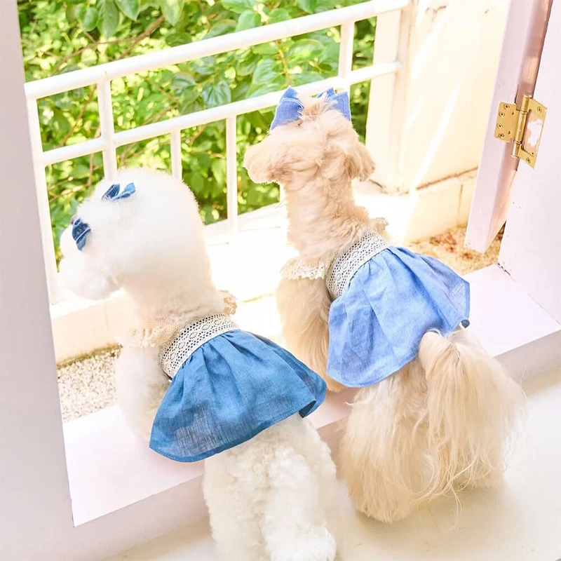 2026 Dog Dresses Denim Ruffle Lace Trim Sling Dressed for Small Dogs Girls Medium Large Dog Clothes with Hairpin Cat Dresses