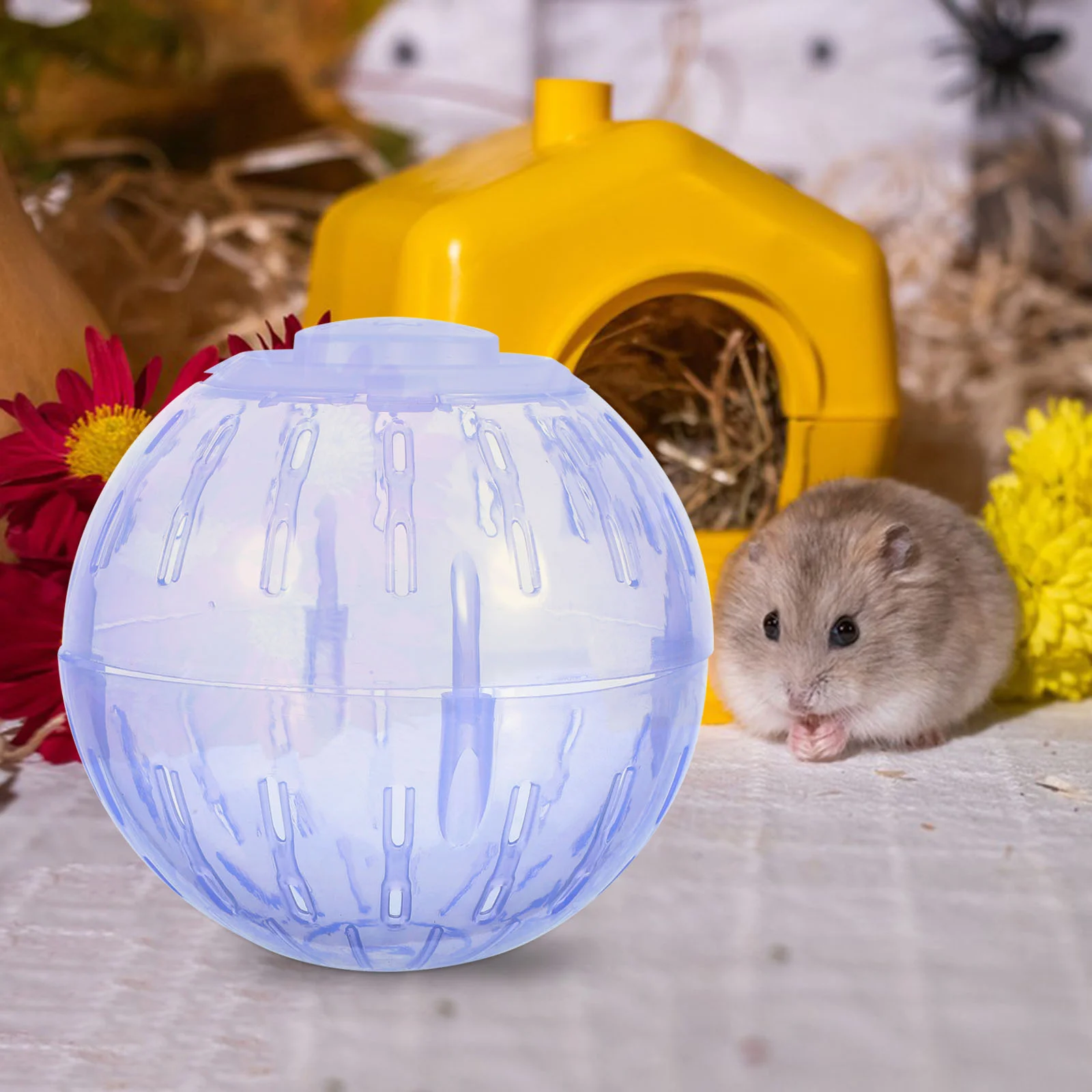 3 PCS Hamster Trotting Ball Training Toy Pet Supplies Plastic Mini Mouse Plaything