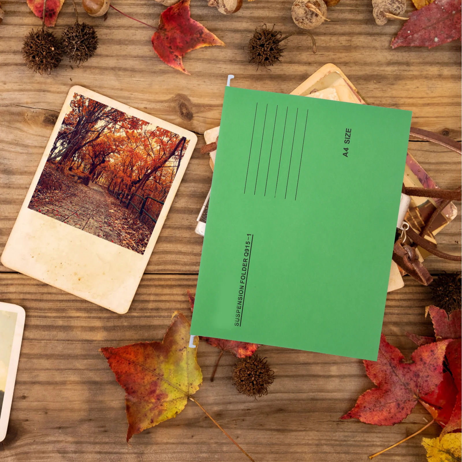 

6Pcs Hanging File Folders A4 Colored Document Organizer Stable Storage for Office Business Hanging File Folders