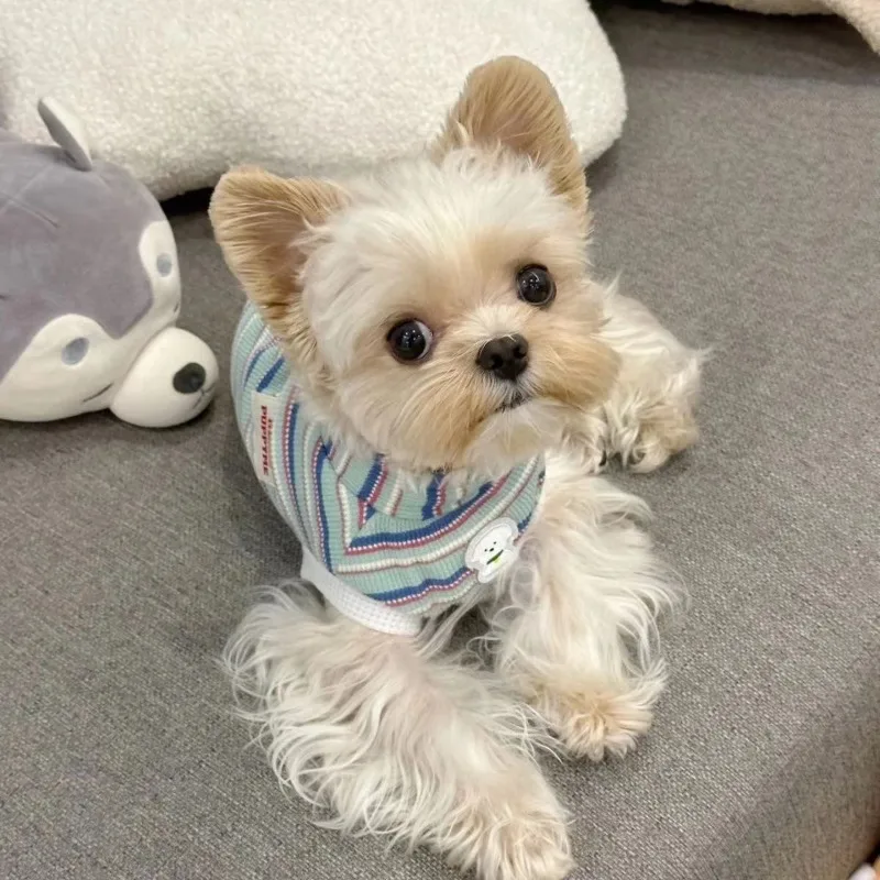 

2024 Colorful Striped Pet Coat Waffle Tank Top Cute Four Seasons Small Dog Sleeveless Yorkshire Bears