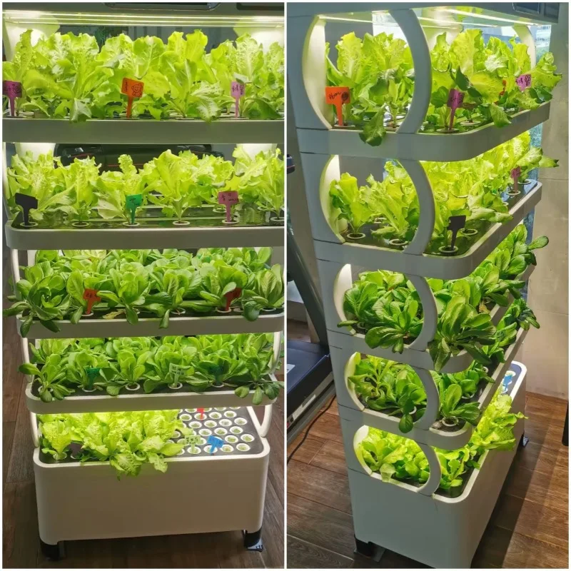 الزراعة المائية الجديدة نظام Aquaponic العمودي نظام الزراعة المائية برج الاستخدام الداخلي #6