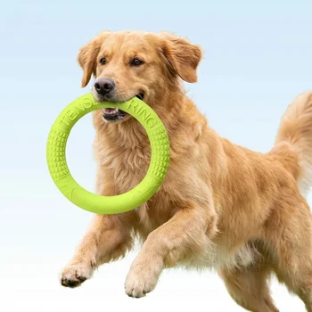 Floating Dog Flying Disc Ring 1
