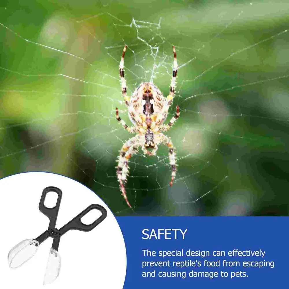 Multifunctional Queen Bee Cage Convenient Plastic Insect Clip Transparent with Ventilation Holes Insect Traps Cleaning Tools